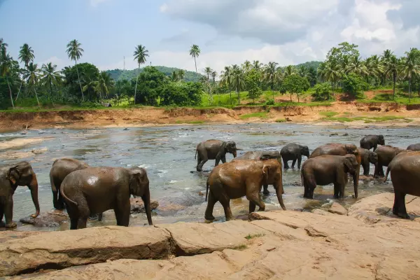 sri-lanka-rundreise