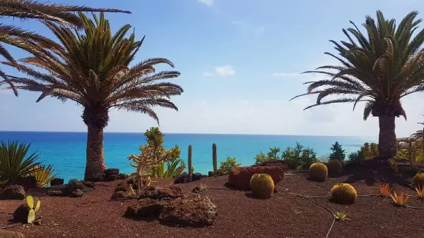 fuerteventura urlaub