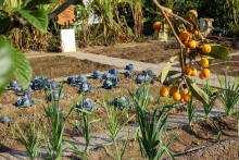 Hotel Playa Granada Motril Spanien Costa de la Luz