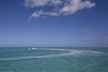 Mauritius - Île aux Bénitiers