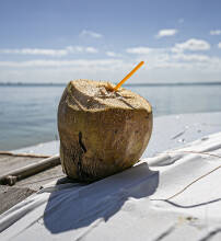 Mauritius - Île aux Bénitiers